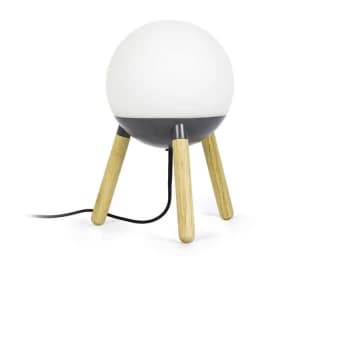 Faro MINE - Table Lamps Globe Table Lamp Grey, E27