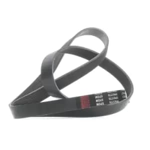 RIDEX V-ribbed belt 305P0219 Serpentine belt,Auxiliary belt RENAULT,HONDA,LAND ROVER,ESPACE IV (JK0/1_),FR-V (BE),STREAM (RN),Discovery II (L318)