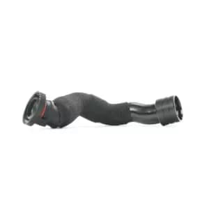 RIDEX Crankcase Breather 1600H16000025 Crankcase Ventilation,Hose, crankcase breather VW,AUDI,SKODA,Golf IV Schragheck (1J1),Golf IV Variant (1J5)
