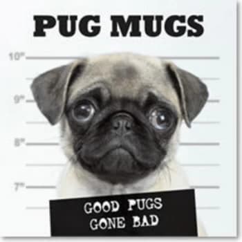 Pug Mugs by Donnie Rubo Book
