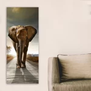 DKY260414424_50120 Multicolor Decorative Canvas Painting