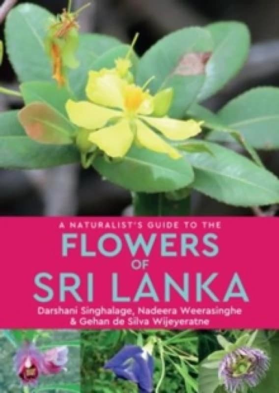 A Naturalists Guide to the Flowers of Sri Lanka Paperback / softback