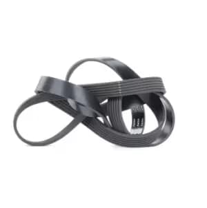 SKF V-ribbed belt FORD,FIAT,PEUGEOT VKMV 6PK1670 6000611039,5750YH,6000611039 9658144480,9662806680,1383663,1434283,1723603,6C1Q6C301CB,6C1Q6C301CC