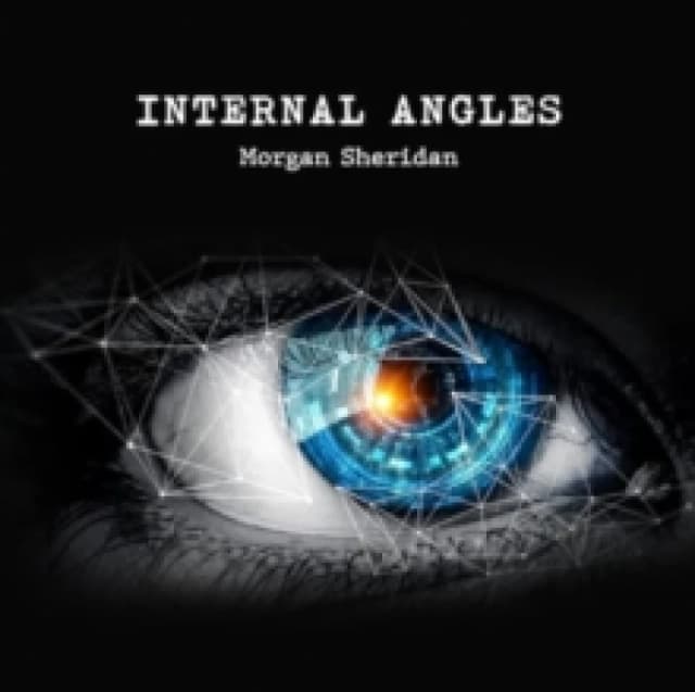 Internal Angles Paperback / softback