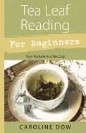tea leaf reading for beginners your fortune in a tea cup