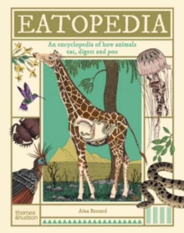 Eatopedia : An encyclopedia of how animals eat, digest and poo Hardback