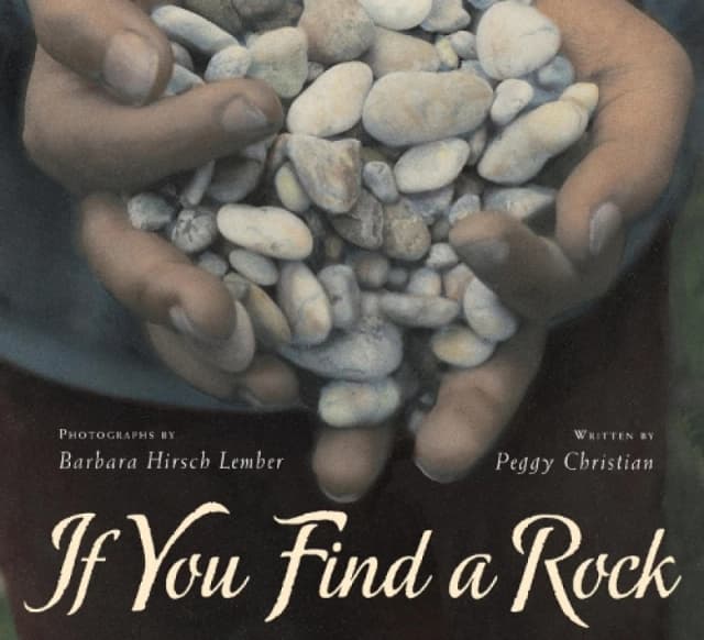 If You Find a Rock by Peggy Christian Paperback