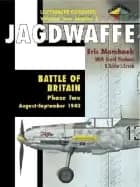 jagdwaffe battle of britain phase 2 august september 1940 luftwaffe colours