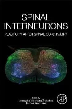 Spinal Interneurons by Lyandysha Viktorovna Zholudeva