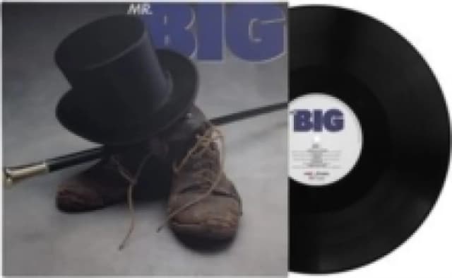 Mr. Big Vinyl