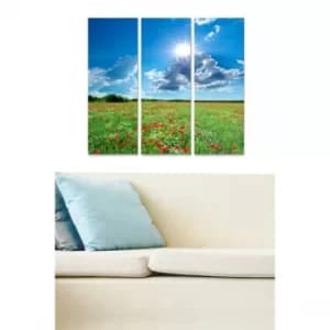 MDF97333907 Multicolor Decorative MDF Painting (3 Pieces)