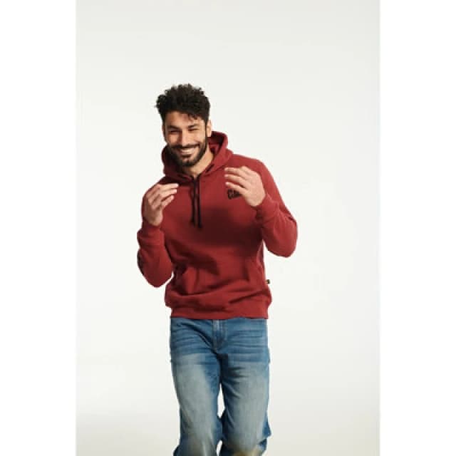 Caterpillar Trademark Banner Hooded Sweatshirt Red