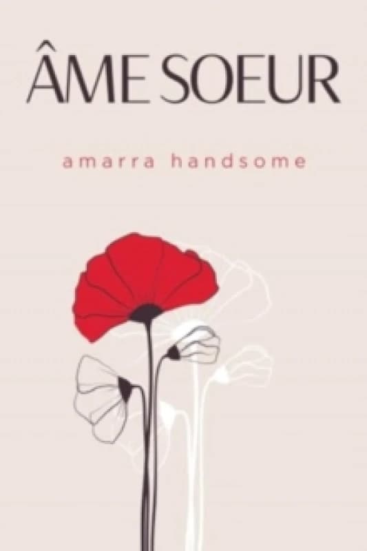 Ame Soeur Paperback / softback