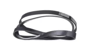 RIDEX V-ribbed belt VW,AUDI,MERCEDES-BENZ 305P0085 46479557,46787907,55189687 60814616,60816661,71734715,71753870,078903137AP,19244954,4891875AA