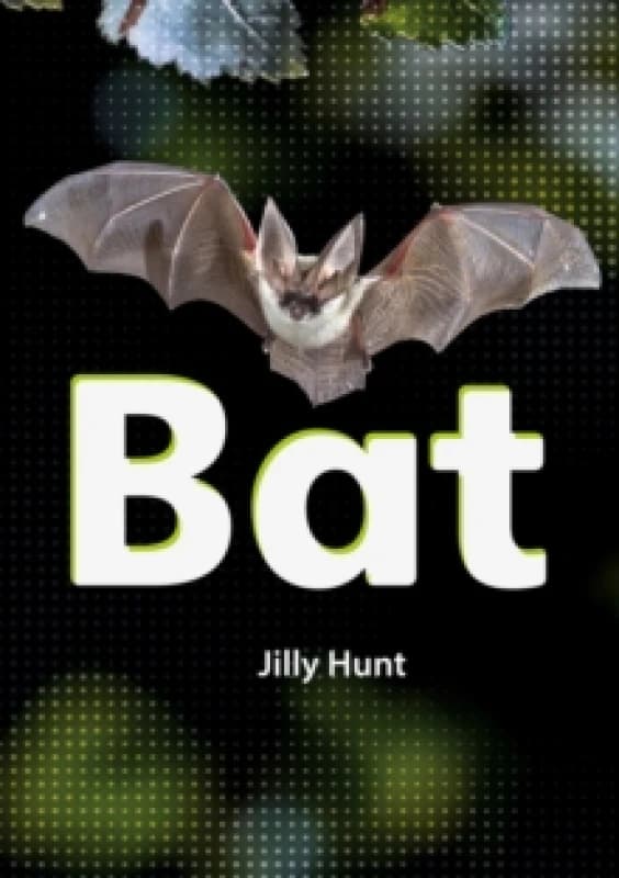 Bat (Set 02) Paperback / softback