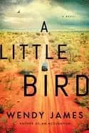 little bird a novel