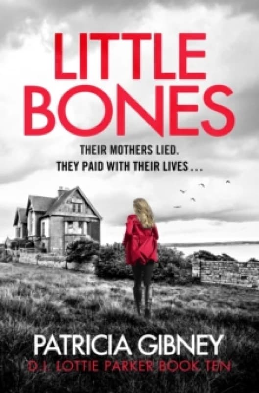 Little Bones Paperback / softback