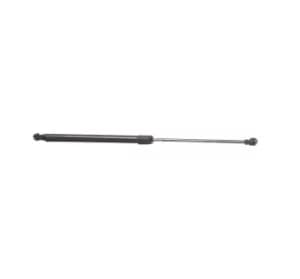 RIDEX Tailgate strut 219G0005 Gas spring, boot- / cargo area,Boot struts RENAULT,SCENIC II (JM0/1_),GRAND SCENIC II (JM0/1_)