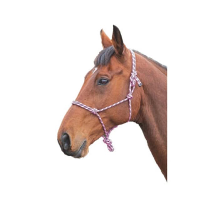 Shires Rope Horse Headcollar Pink/black (One Size)
