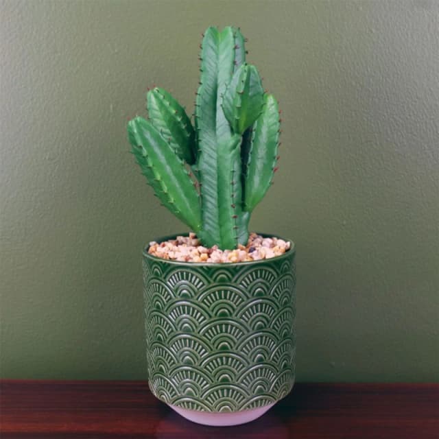 Leaf 23cm Artificial Cactus Plant Potted in Green Ceramic Planter Green unisex