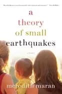 theory of small earthquakes