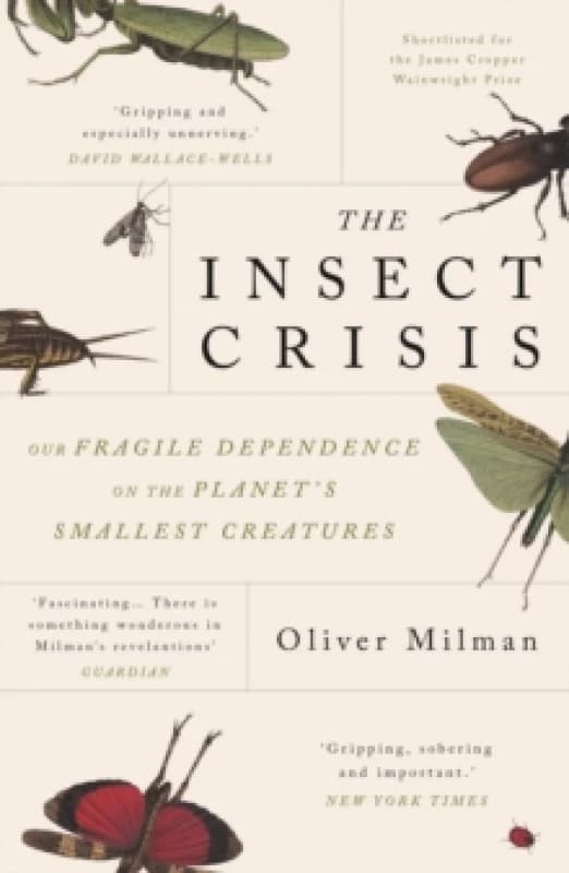 The Insect Crisis : Our Fragile Dependence on the Planet's Smallest Creatures Paperback / softback