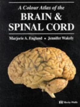 A Colour Atlas of the Brain and Spinal Cord by Marjorie a England and Jennifer Wakely Paperback
