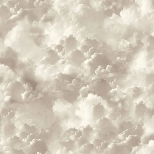 Arthouse Arthouse Vanilla Skies Cream Wallpaper