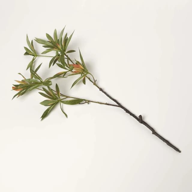 Homescapes Green Elaeocarpus Leaf Single Stem Spray 92cm Green