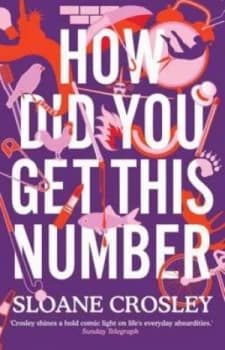 How Did You Get This Number by Sloane Crosley Paperback