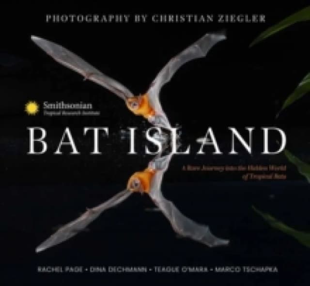 Bat Island : A Rare Journey into the Hidden World of Tropical Bats Hardback