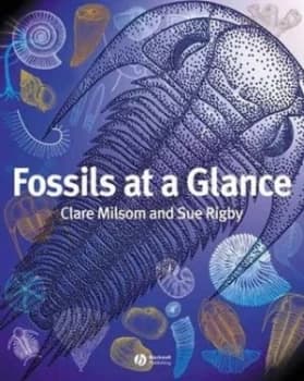 Fossils at a Glance by Clare Milsom Paperback