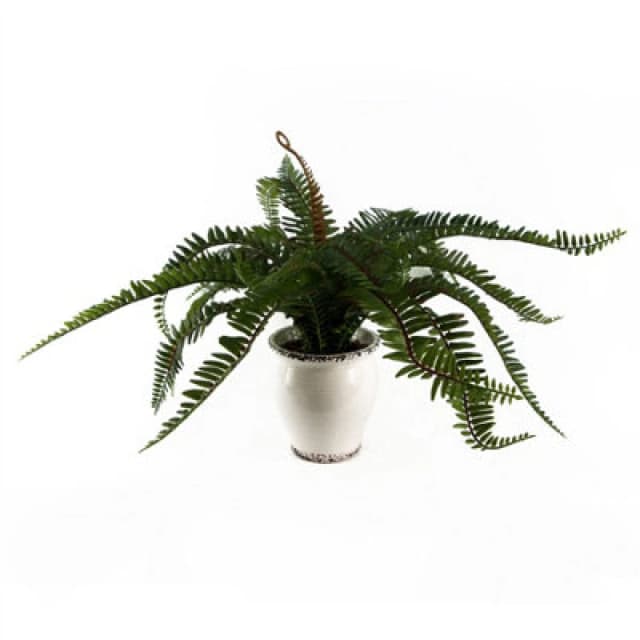 Leaf 40cm Artificial Fern Bush in Decorative Planter Green unisex
