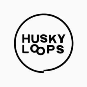 Ep 2 by Husky Loops Vinyl Album