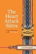 heart attack sutra a new commentary on the heart sutra