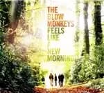 Blow Monkeys (The) - Feels Like A New Morning (Music CD)