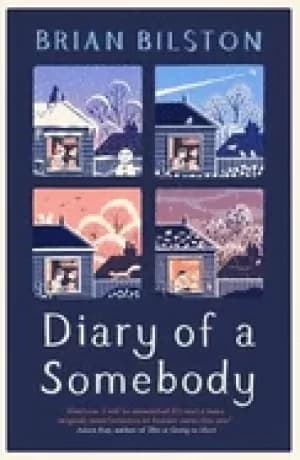 diary of a somebody