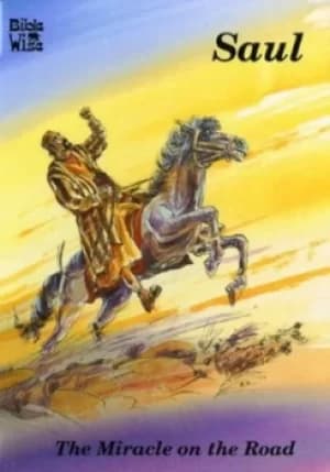 The miracle on the road by Carine Mackenzie