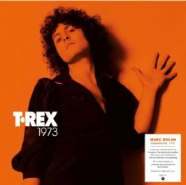 Songwriter: 1973 Vinyl