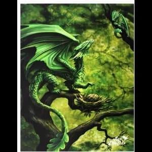 Small Forest Dragon Canvas Picture by Anne Stokes