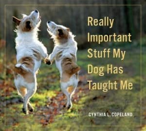 Really Important Stuff My Dog Has Taught Me by Cynthia L. Copeland Paperback