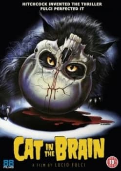 Cat in the Brain - DVD