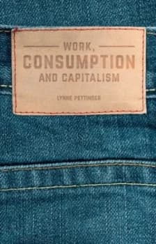 Work Consumption and Capitalism by Lynne Pettinger Paperback
