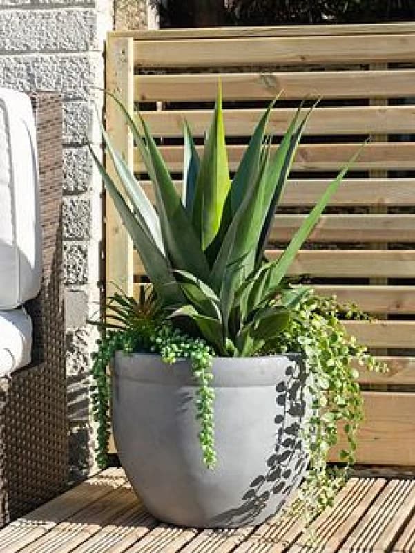 Artificial Oversized Mixed Agave in Grey Pot