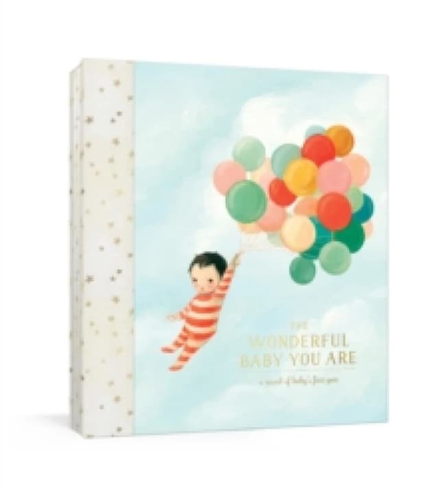 The Wonderful Baby You Are. Diary or journal. By Emily Winfield Martin Books