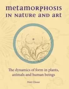 Metamorphosis in Nature and Art : The Dynamics of Form in Plants, Animals and Human Beings