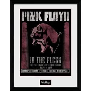 Pink Floyd 1977 Collector Print