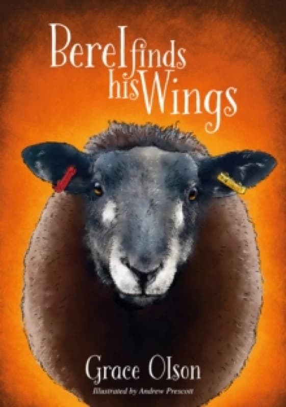Berel Finds His Wings Paperback / softback