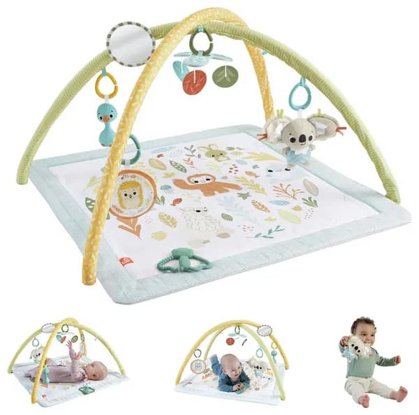 Fisher-Price Simply Senses Newborn Baby Gym