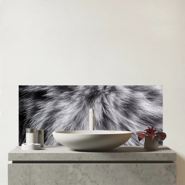 Warren Reed - Designer Silver Tabby Cat Print Glass Bathroom Splashback in Grey Grey Unisex